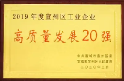High-Quality Development Top 20 Enterprises