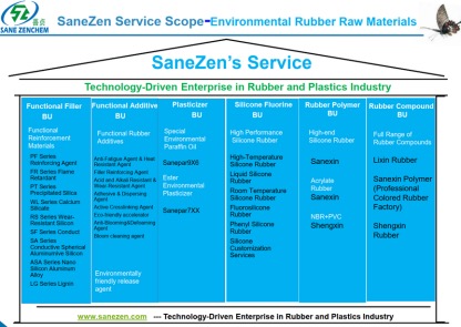 SaneZen service scope